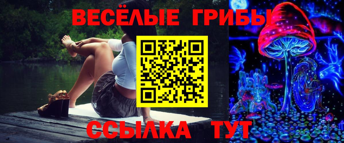 Елец  Галлюциногенные грибы Psilocybe  Вход с VPN 